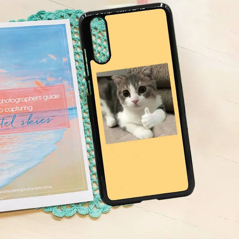 

Aesthetic Cute Animal Cat Phone Case PC for iPhone 11 12 pro XS MAX 8 7 6 6S Plus X 5S SE 2020 XR