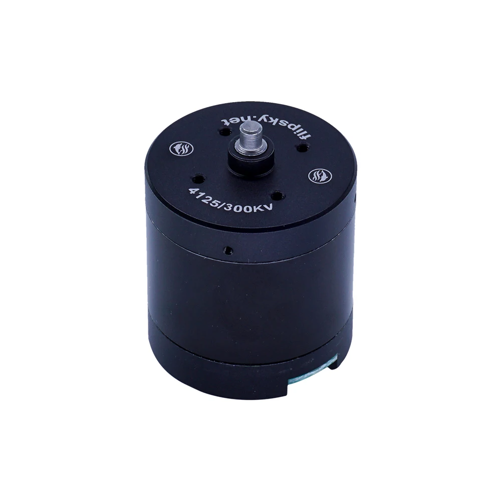 Бесколлекторный двигатель F4125 300KV для винт с прямым приводом/Efoil/измерения