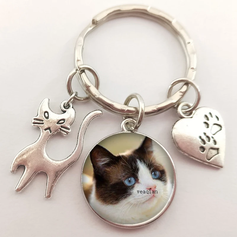Брелок для ключей в виде животных автомобильный брелок со стеклянным куполом