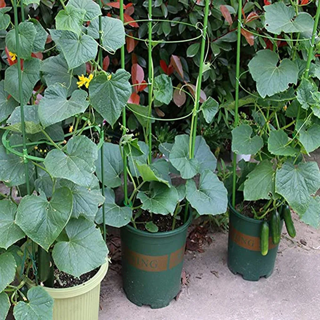 Plant Support Stakes Garden Single Stem Stake Cage Rings For Amaryllis Tomatoes Orchid Lily Peony | Дом и сад