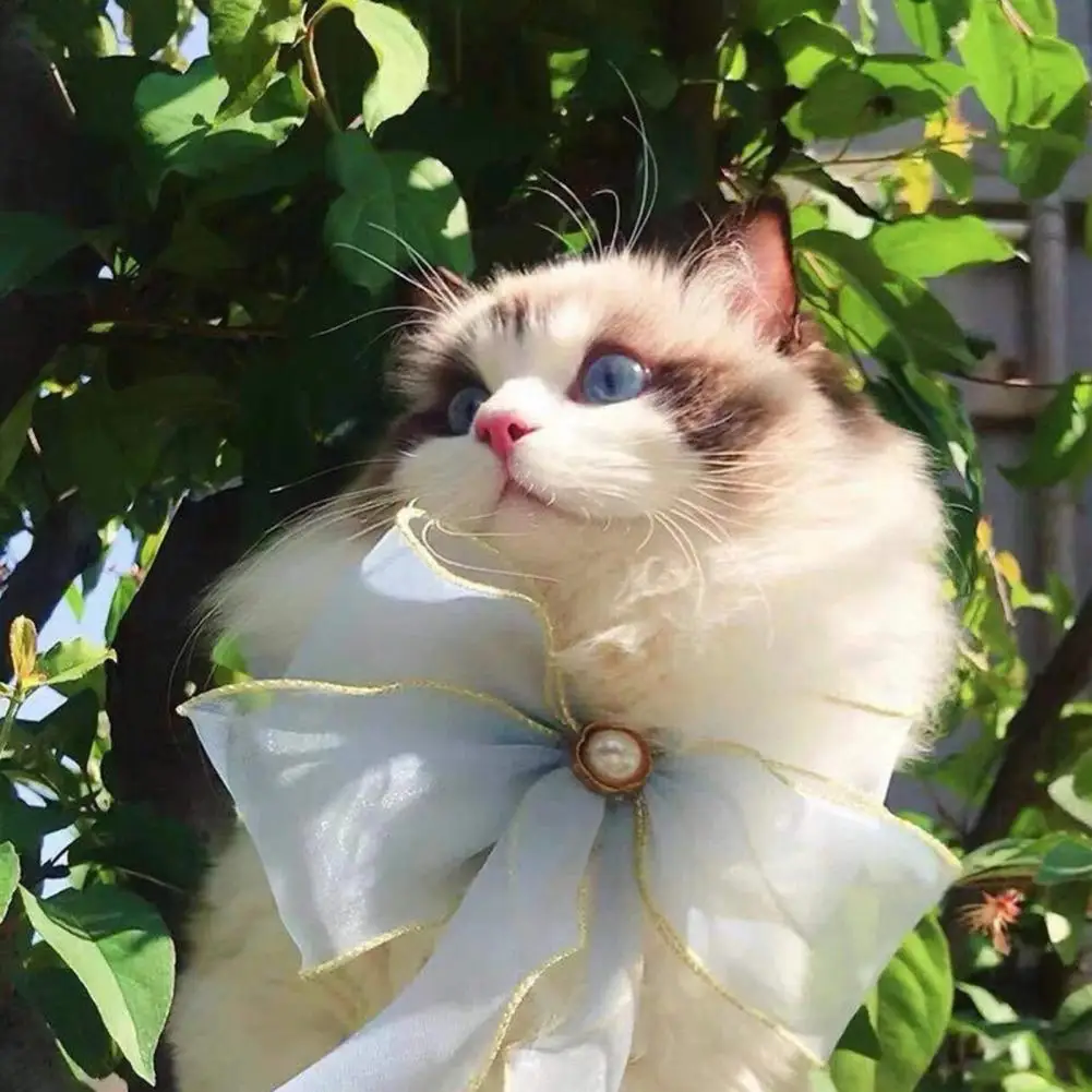 

Декоративный полиэфирный красивый нагрудник с бантом на шею для собаки, шарф Вечерние