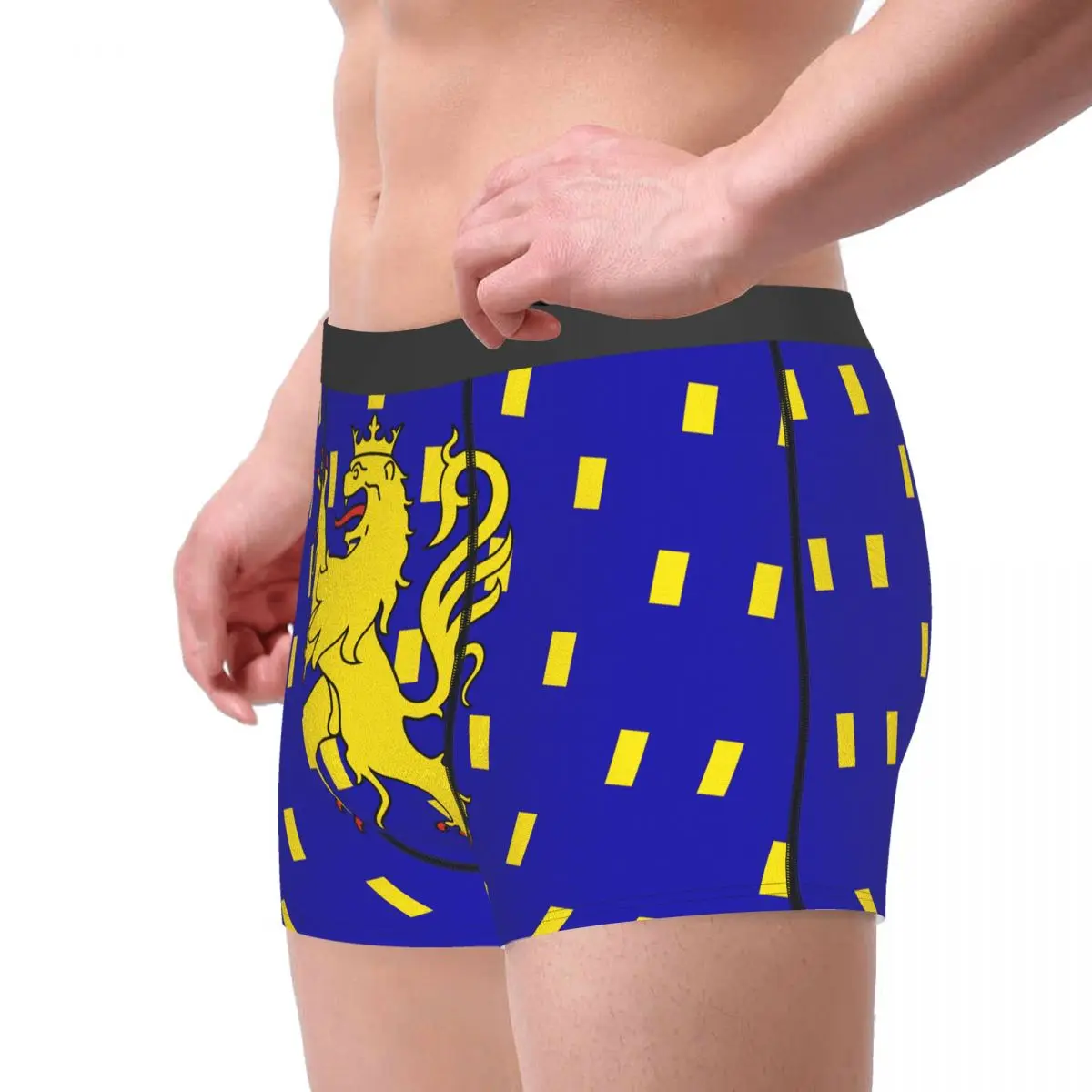 Flag Of Franche-Comté Men's Boxer Briefs Flags of the regions of France Funny Vintage Men's boxer leggings