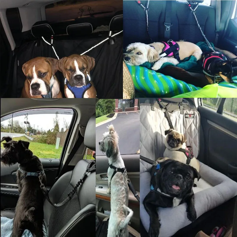 Собачий автомобильный поводок грудь Страховочная привязь с ремнем