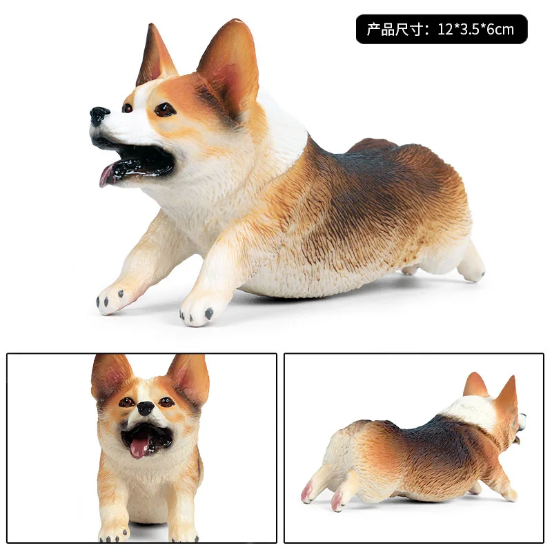 

cor-gi pet dog