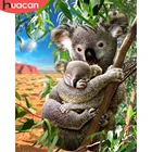 HUACAN краска по номеру енота наборы уникальный подарок ручная краска ed картина по номеру животное на холсте украшение дома DIY подарок