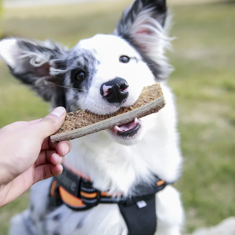 Pet Supplies Clean Tooth Bone Antlers Teddy Golden Hair Snow Larry Dog Molar Toy General Toys for Small Dogs | Дом и сад