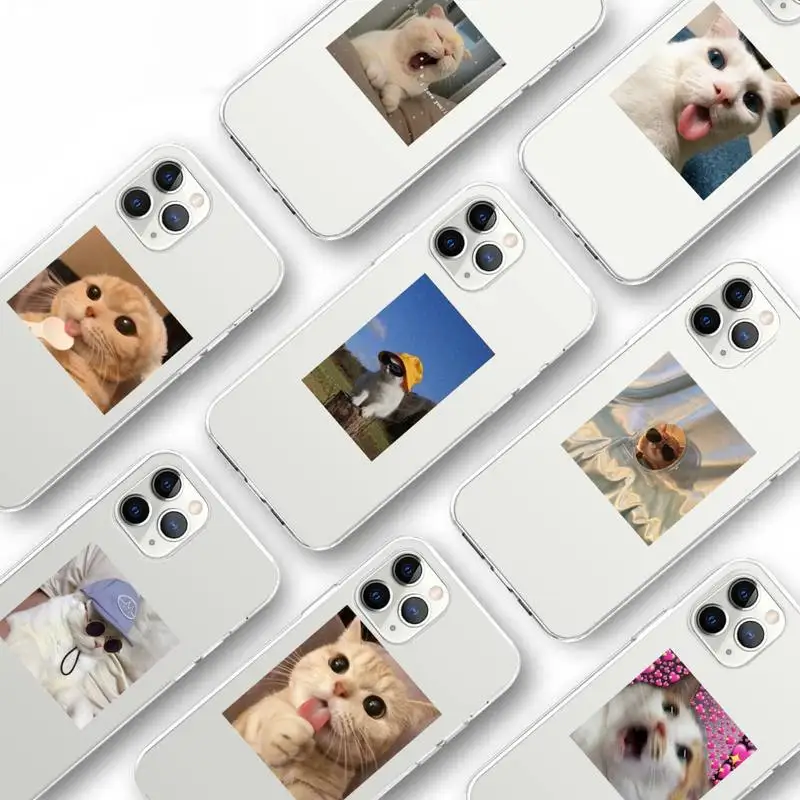 

Cute British shorthair Cat Phone Case Transparent for iPhone Samsung S 11 12 6 7 8 9 10 20 Pro X XS Max XR Plus lite