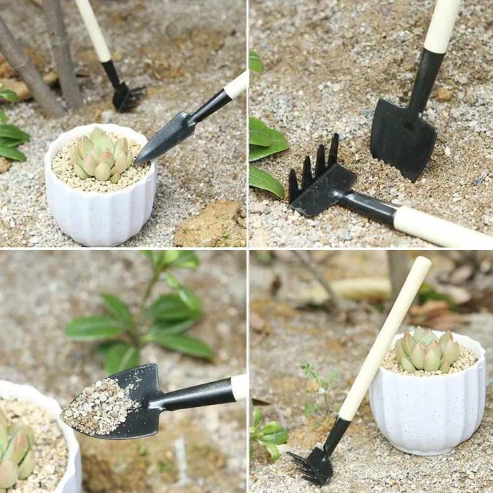 

8pcs Succulent Plant Tools Iron Mini Garden Hand Tools For Digging, Loosening Soil, Transplanting, Watering, Cleaning