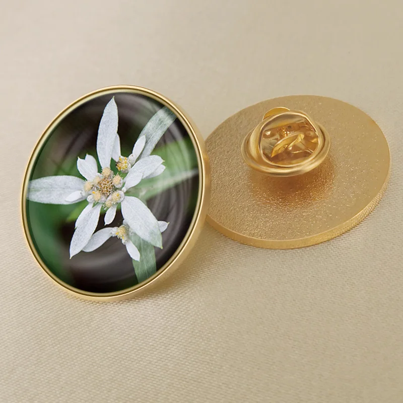 Герб Австрия австрийский карта Национальный флаг Эмблема с национальным