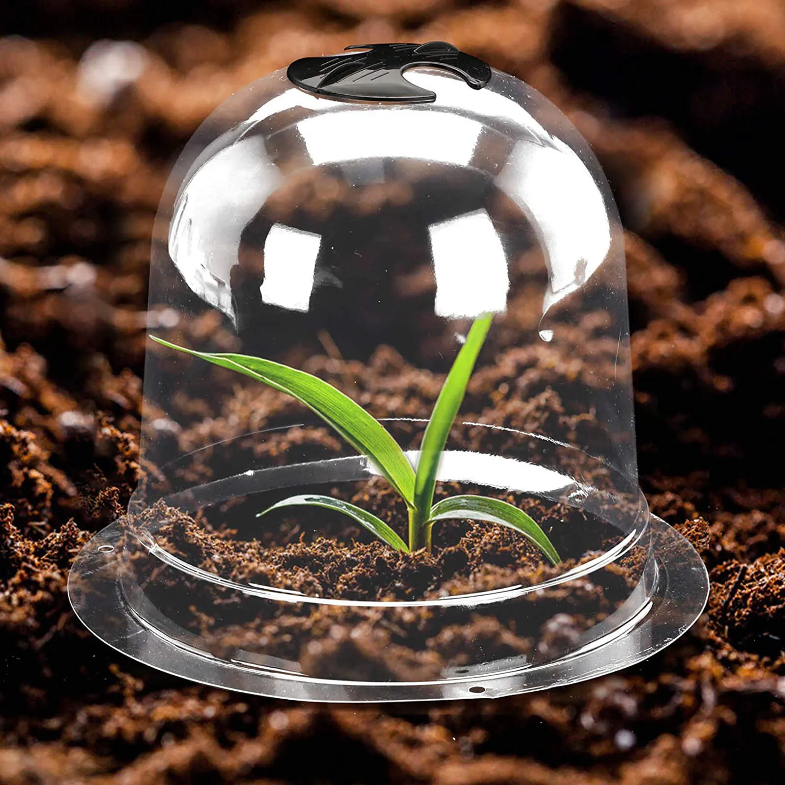 

Vogel Schutz Net Garten Cloche Anlage Glocke Abdeckung 6 Pack Anlage Abdeckung Schutz Boden Sicherung Peg radikal