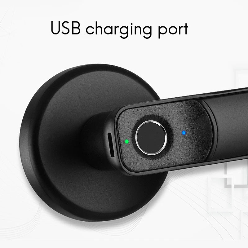 

Spherical Wooden Door Fingerprint Lock Anti-Theft Door Lock Smart Electronic Door Lock for Indoor Room Office