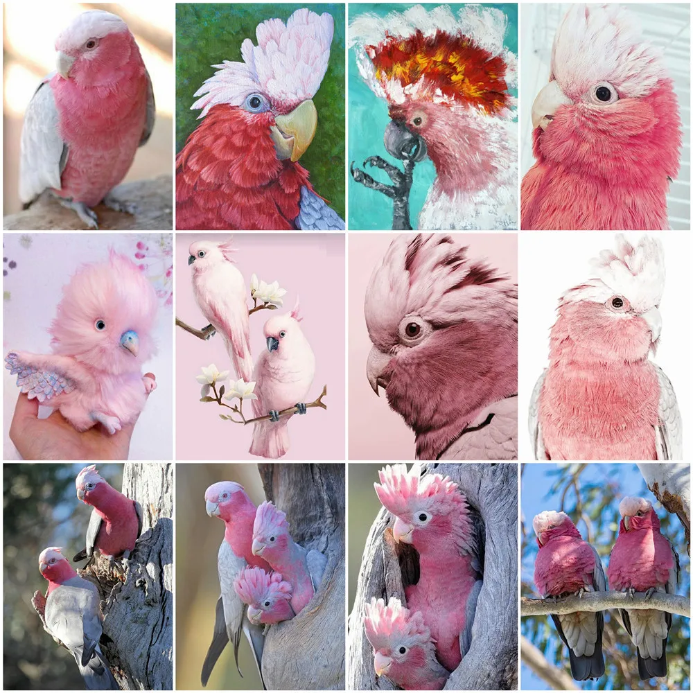 

HUACAN DIY Diamond Painting Cross Stitch Bird Full Square Round Diamond Embroidery Parrot Painting Rhinestone Animal Home Decor