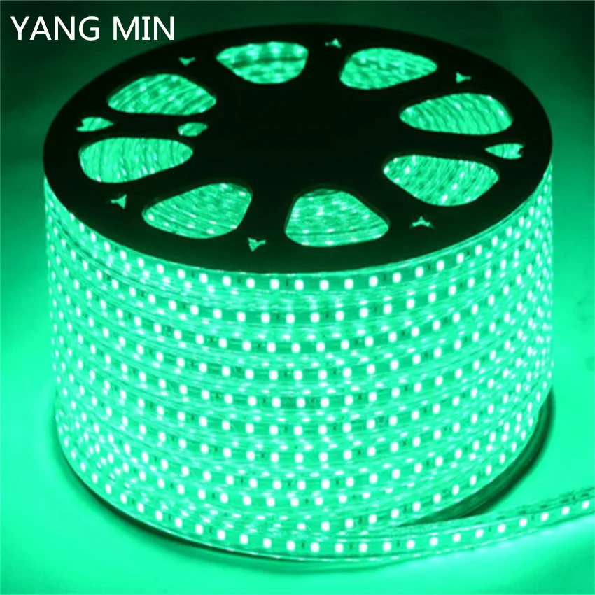 

YNAGMIN FREE SHIPPING High Voltage AC110V 220V Waterproof LED Strip Light SMD 2835 LED Strip 3 YEARS WARRANTY