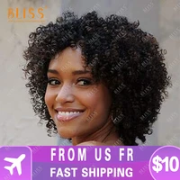 berry hair color 2 afro kinky curl human hair wig wholesale cheap short afro natural black hair wigs with bangs for black women