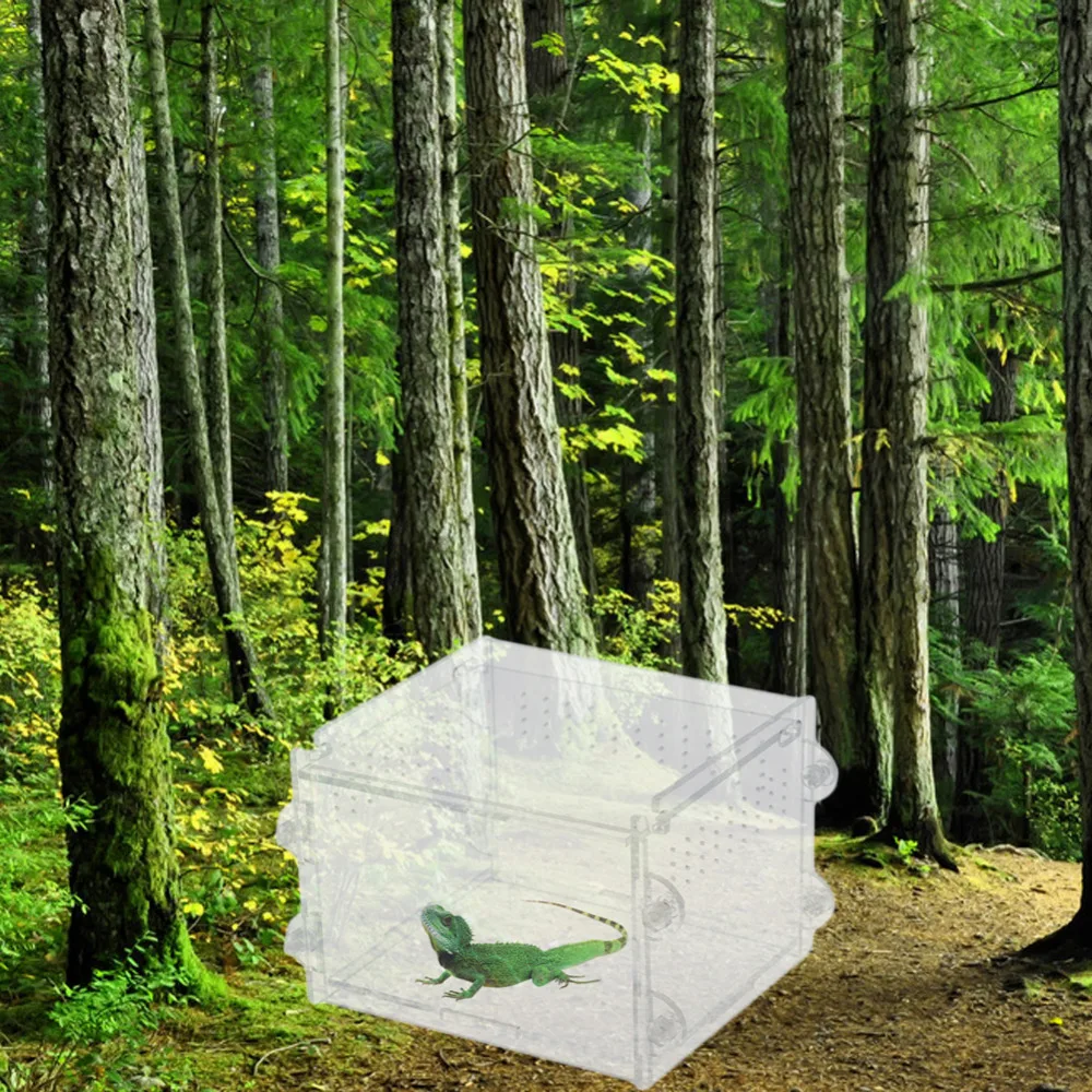 Акриловый контейнер для рептилии Террариум личинки-амфибры пауки муравьи