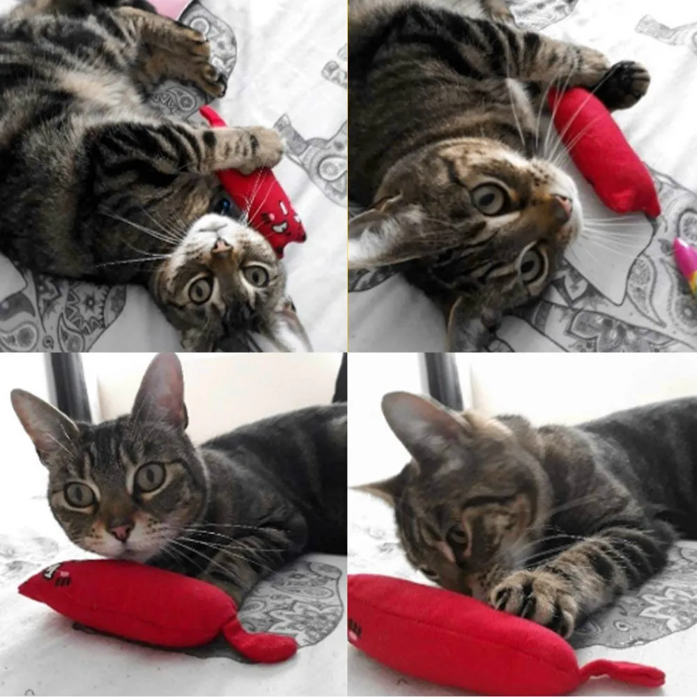 Интерактивная жевательная игрушка для кошек С Кошачьей Мятой забавная плюшевая