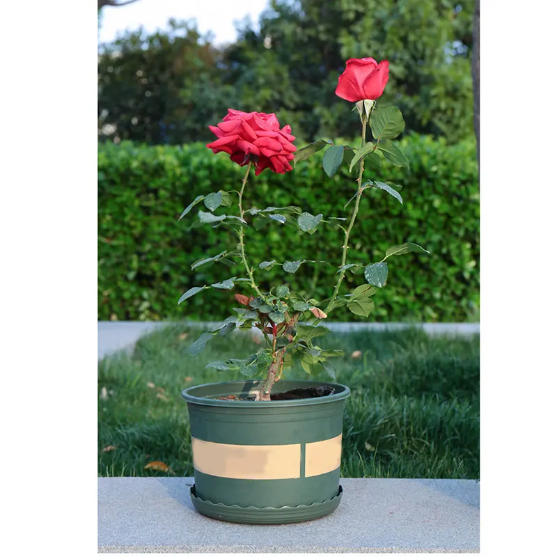 Большой круглый короткий цветочный горшок с контролем корня розы для посадки
