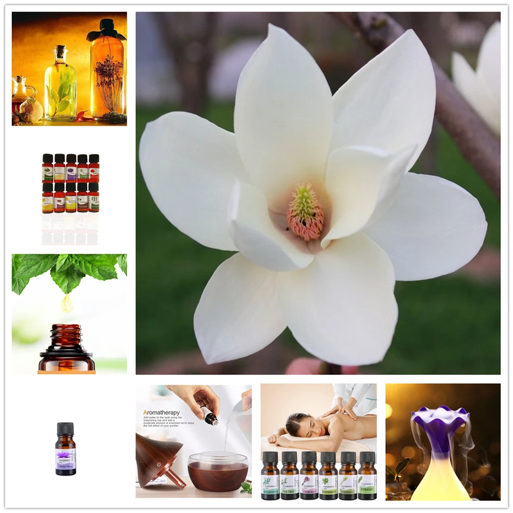 Эфирные масла для диффузора Краб кактус Ароматерапия масло увлажнитель 6 видов