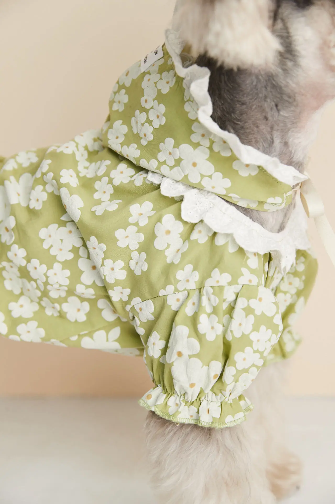 2021 новая модная одежда для собак весна-лето кружевная Цветочная рубашка шнауцер