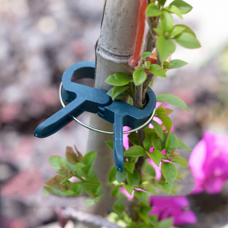 

Garden Orchard Bonsai Tools Horticultural Clamp Rattan Plant Garden Clip Branch Flower Phalaenopsis Bracket Plastic Gardening