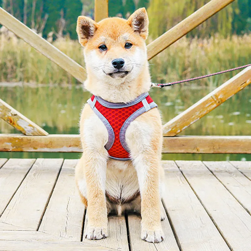 

Dog Harness Breathable Vest Harnesses for Dogs Walking Belt Dog Harness and Leash Set Dogs Walker Puppy Accessories Pet Products