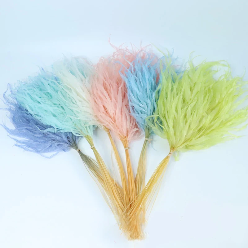 

10pcs,Dried Natural Flowers Dragon Claw Leaf,Eternelle Dry Flower Leaves For Wedding Party Table Decor Accesories For home