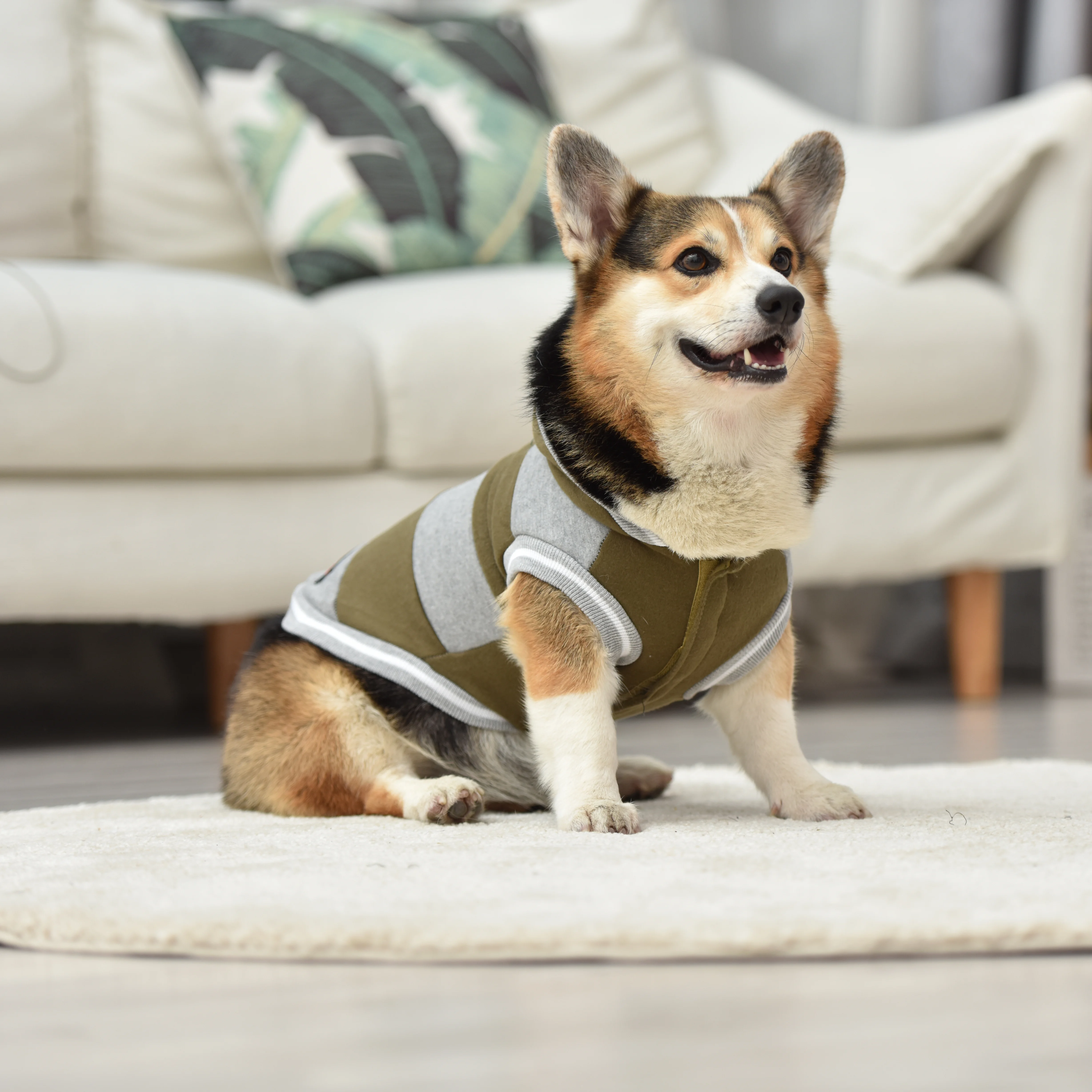 

Одежда для собак, удобные мягкие толстые теплые толстовки для собак, модная Осенняя Толстовка для собак, пальто для маленьких и средних соба...