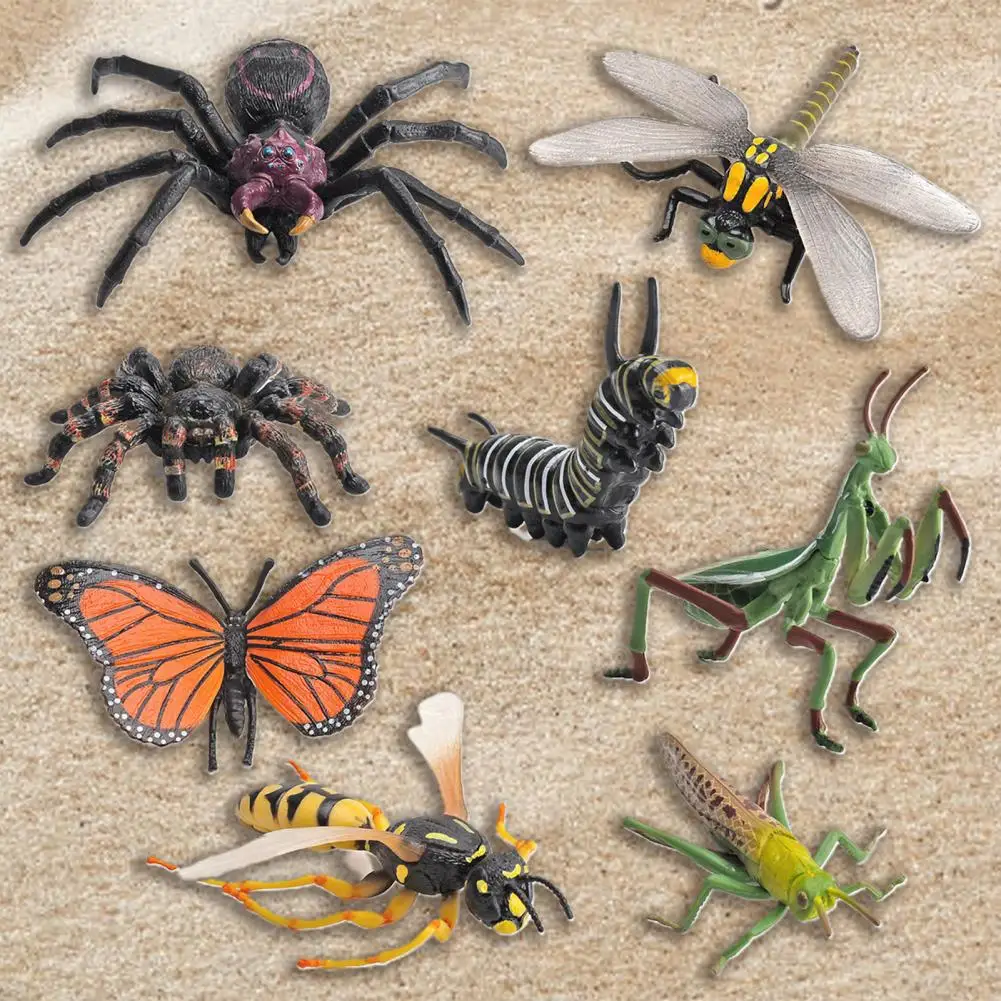 Яркое выражение полезное отличное исполнение Кузнечик Стрекоза гусеницы