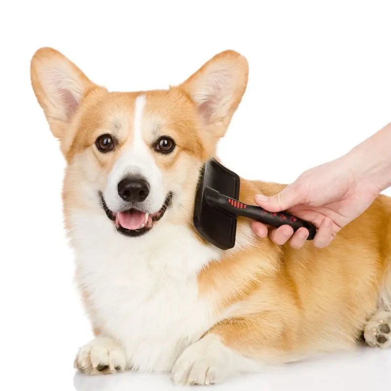 

Pet Shedding Hair Grooming Dense Comb Slicker Brushes For Pet Plastic Handle Brush Airbag Stainless Steel Pin Dog Comb