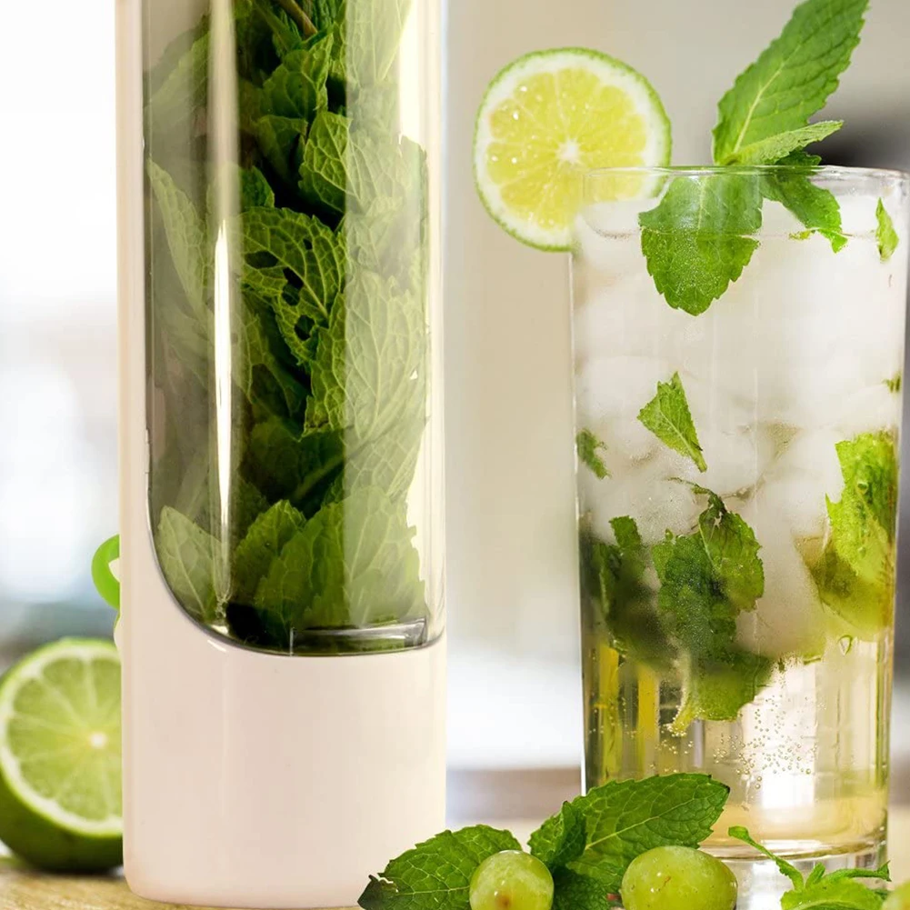 

2021 Premium Herb Storage Container Fresh Keeper Herb Savor Savor Preserver Cup Keeps Greens And Vegetables Fresh For 2x Longer