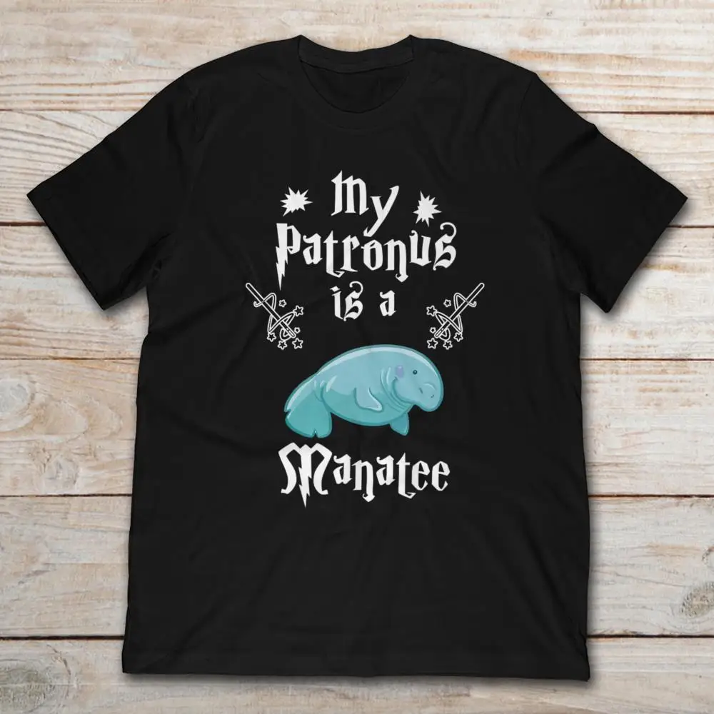 My Patronus футболка с ламантией|Мужские футболки| |