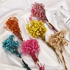 Миниатюрные Натуральные сушеные цветы Babysbreath Свежий маленький букет для свадебной вечеринки домашний пресс декоративный фон для фотографий декоративное ремесло