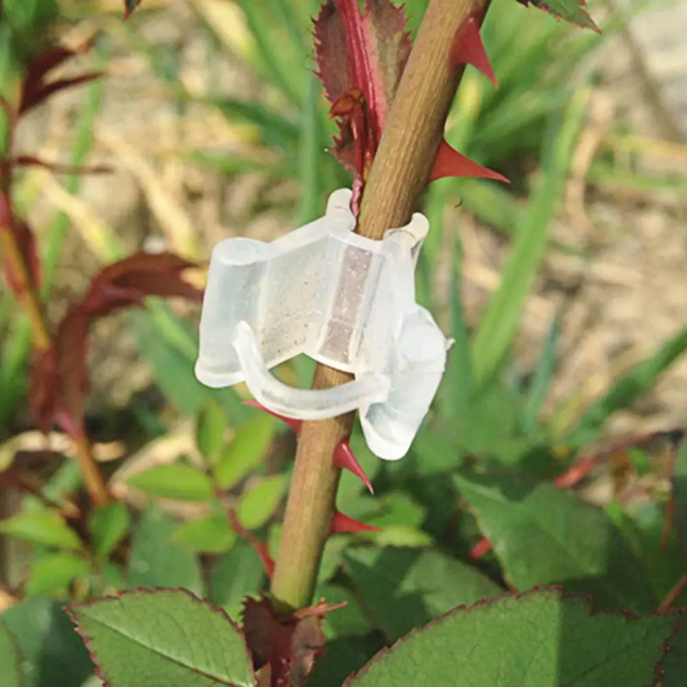 

20Pcs Plastic Plant Clips Supports Connects Protection Grafting Fixing Tool White Gripping Clip Garden Supplies for Vegetable