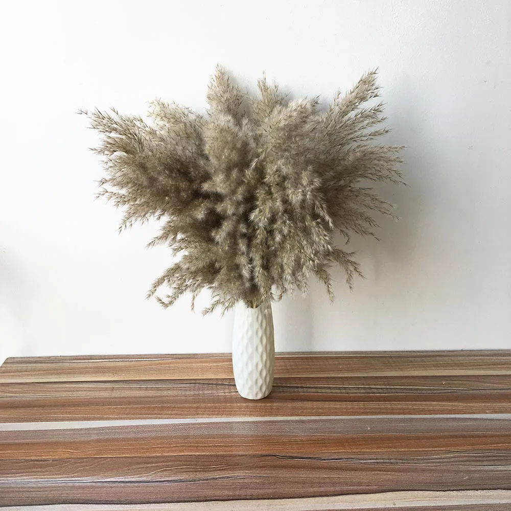 10pcs beautiful natural pampas grass dried flower matching plastic vase for wedding stage decoration Natural bouquet | Дом и сад