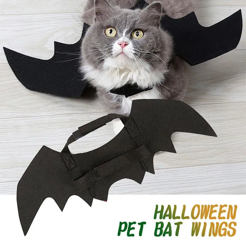 Черное платье для питомца крыло кот костюм крылья летучая мышь Хэллоуин|Костюмы|