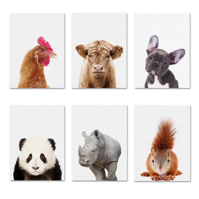 Животное носорог картина на стену полотно Плакаты и принты панды корова