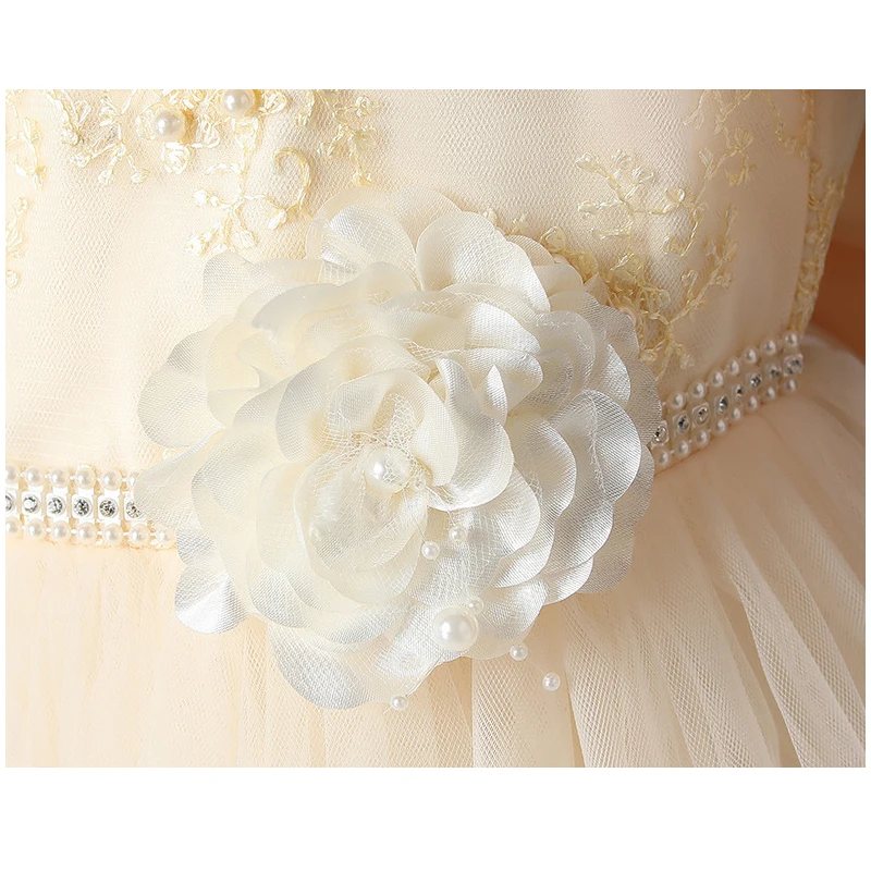 

Sweet Beading Kids Princess Dresses Flower Girl Dress For Wedding Summer Embroidery Tailing Dress Children Birthday Party Gowns