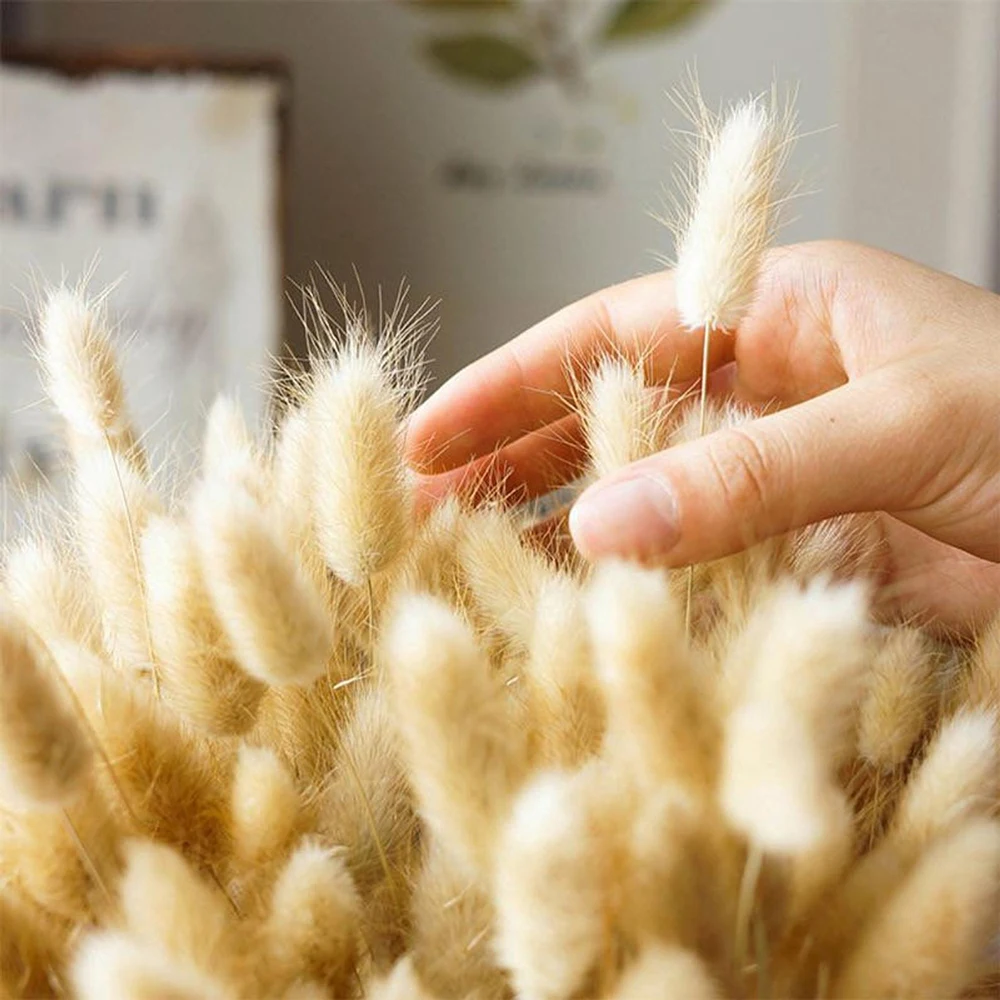 

20Pcs Rabbit Tail Grass Dried Flowers DIY Home Decor Fake Flowers Bonnie Rabbit Tail Grass Dried Flowers Natural Room Decor