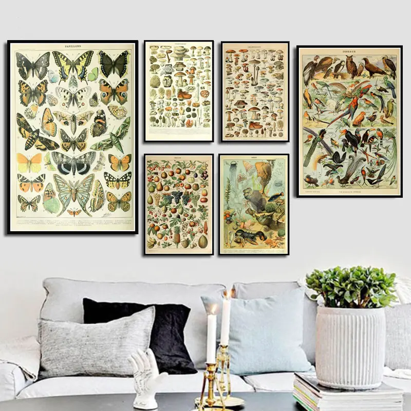 Плакаты с принтом океана ботанические животные грибы обучающее искусство холст