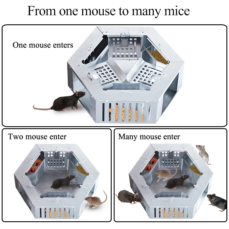 

Self-locking Mousetrap Humane Metal No Kill Reusable Mouse Trap Rodents Catcher for Indoor Outdoor Pest Control