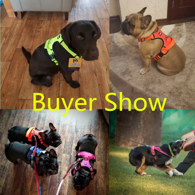 Старший сильный лабрадор ошейники для собак уличный тренировочный жилет