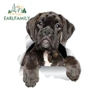 EARLFAMILY, 13 см x 10,9 см, милые 3D боксерские наклейки, наклейки для туалета, холодильника, кухни, детской комнаты, спальни, дверные украшения