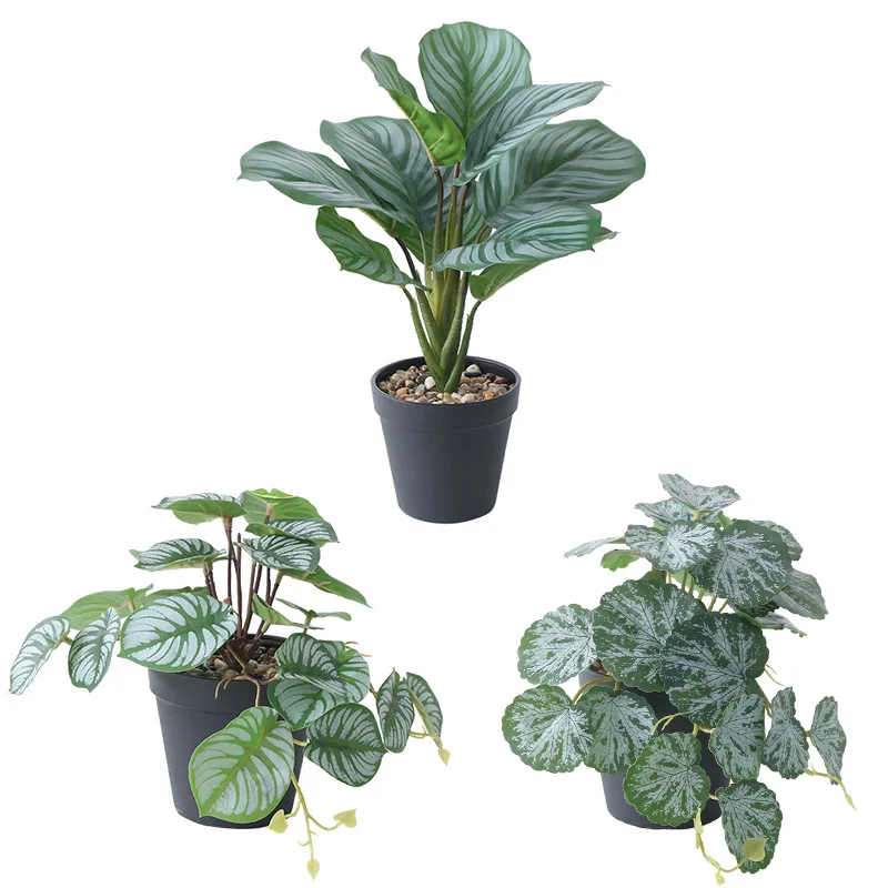 

Nordic Green Plant Eucalyptus Potted Ceramic Flower Home Office Ornaments Plants Potted Plants