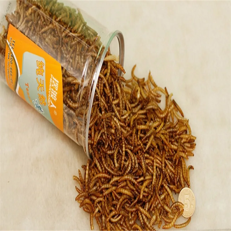 2020 сушеный аквариум Mealworm пруд рептилии дикая птица еда хомяк семена птиц ящерица