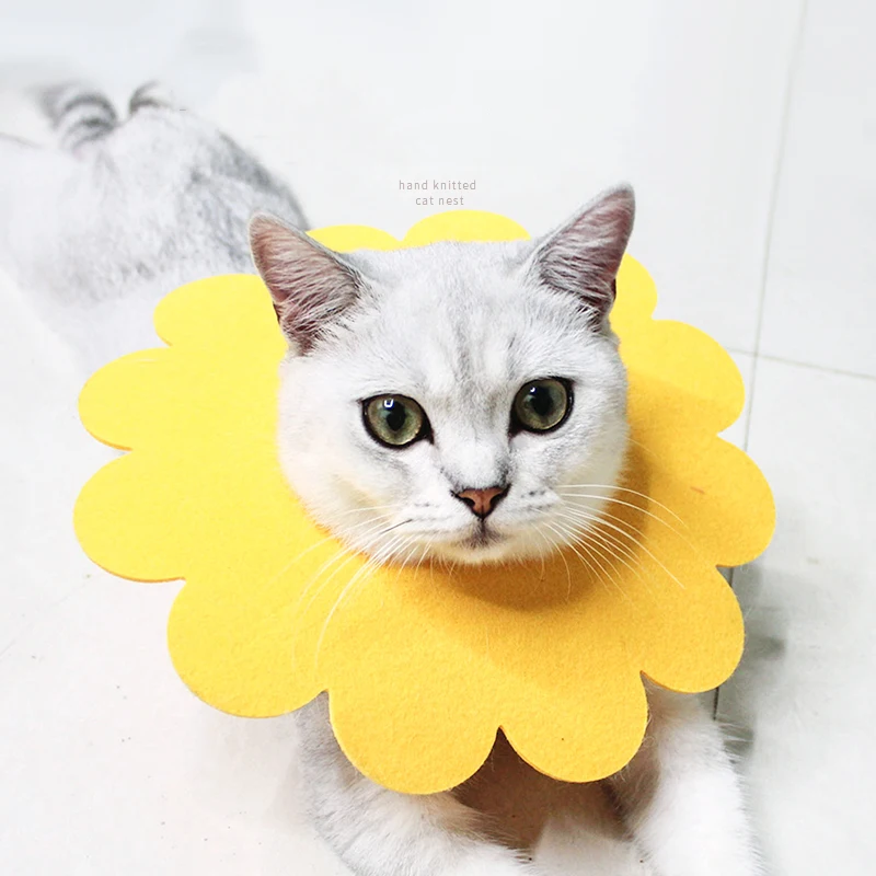 @ HE 5 шт. Pet Sun Flower Elizabeth Circle Cat Анти укус анти разбивающийся Солнечный цветок