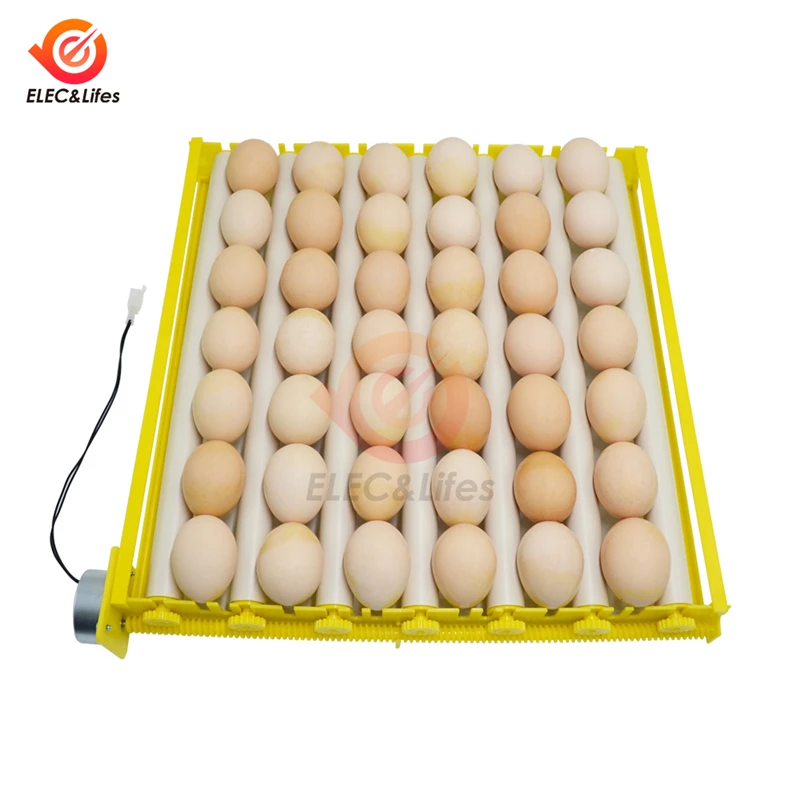 Автоматическая вращающаяся на 360 ° лотка для яиц поднос с рисунком лоток 42 110 В 220