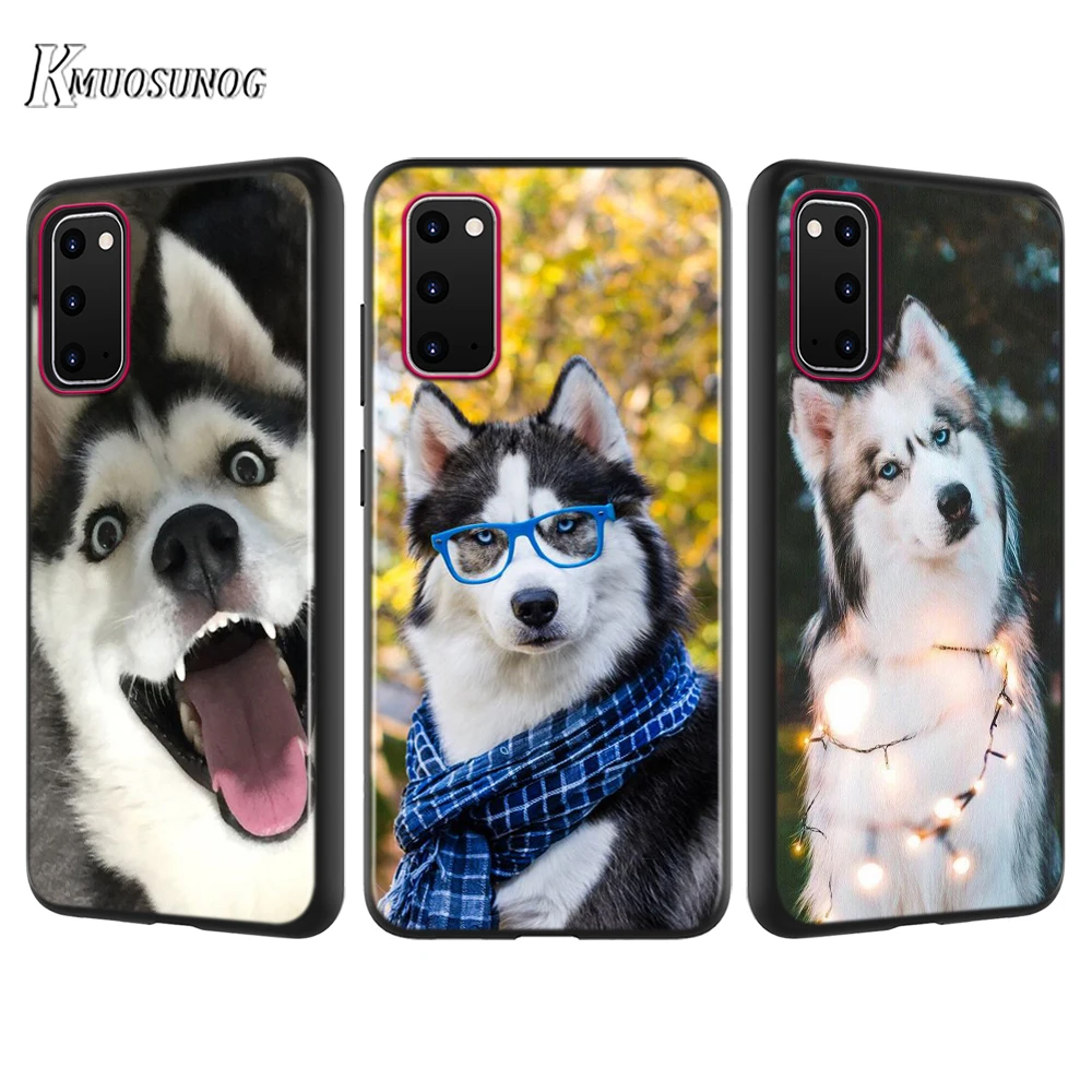 Черный чехол для телефона Alaskan Siberian husky dog Samsung Galaxy A01 A21 A81 A91 A71 A51 S20 S10 Note 10 Lite Ultra