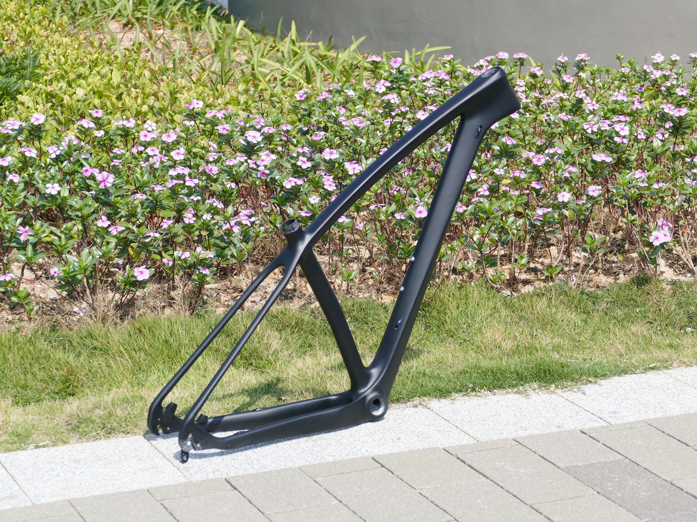 Полностью карбоновый UD матовый горный велосипед MTB 29 дюймов колесо BSA 29er Рамка