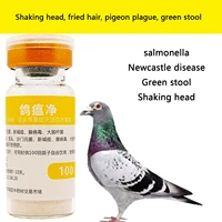 pigeons shake their heads and fry their hairs tilt their heads and green stools without energy 100 birds per bottle