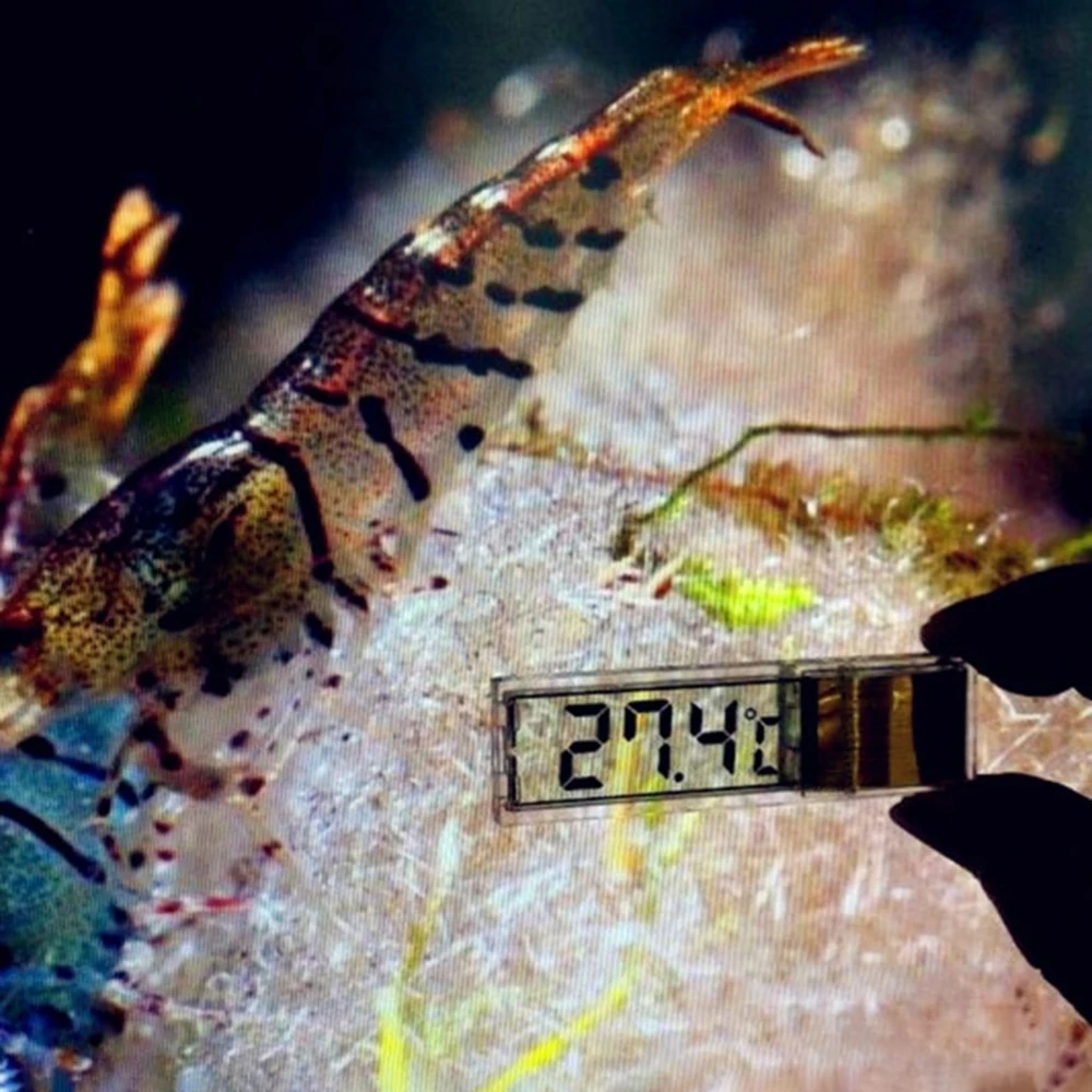 Многофункциональный цифровой электронный аквариумный термометр с ЖК